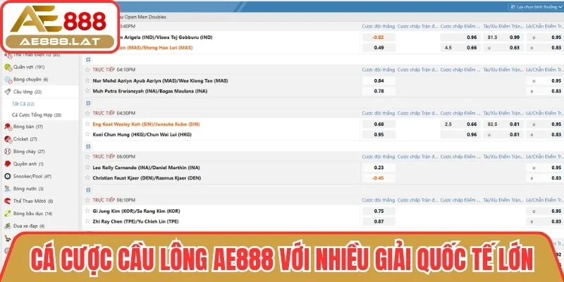 Cầu lông AE888 với nhiều giải quốc tế lớn