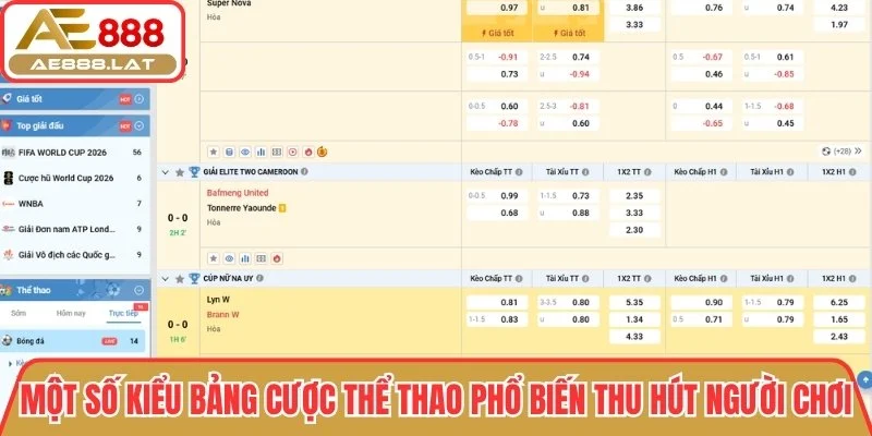 Một số kiểu bảng cược thể thao phổ biến thu hút người chơi